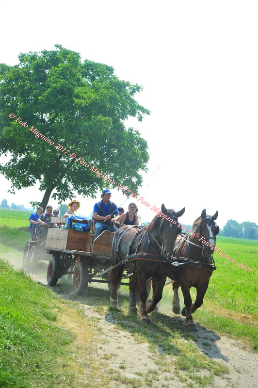DSC_0844.JPG
